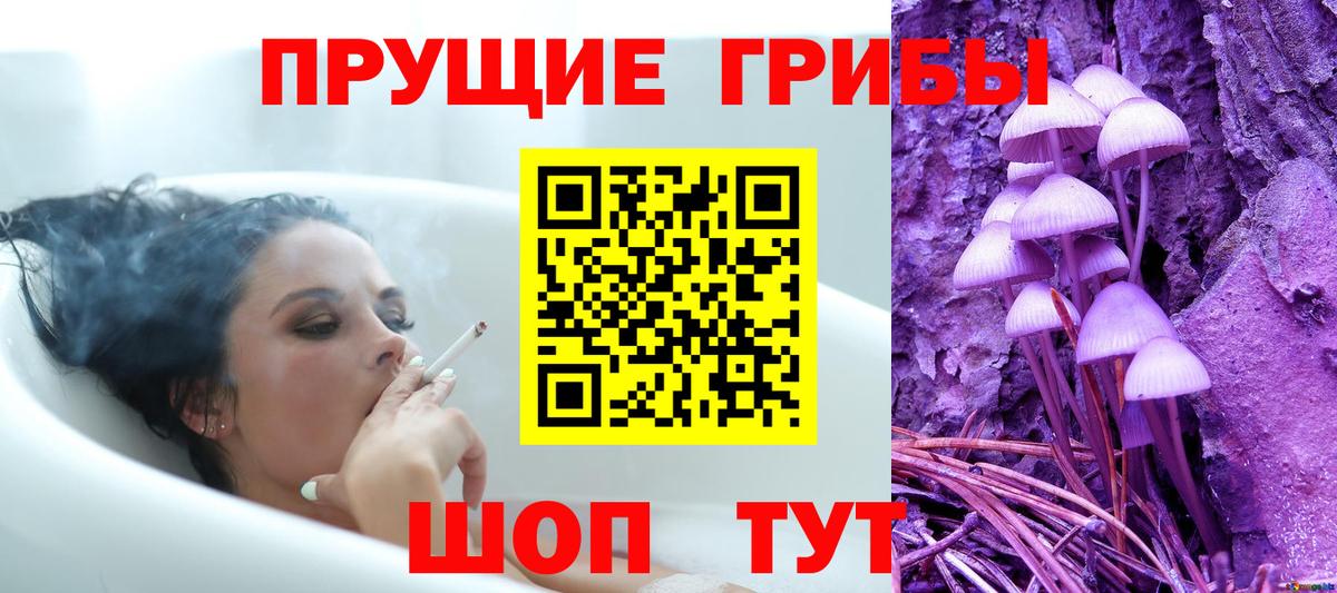 Корсаков  Псилоцибиновые грибы Psilocybine cubensis  Галлюциногенные грибы мицелий  где купить наркоту  Вход с VPN 